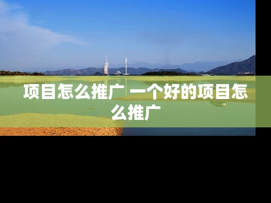 项目怎么推广 一个好的项目怎么推广