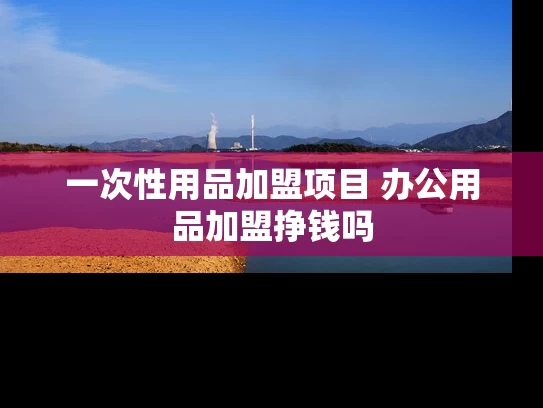 一次性用品加盟项目 办公用品加盟挣钱吗