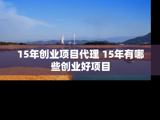 15年创业项目代理 15年有哪些创业好项目