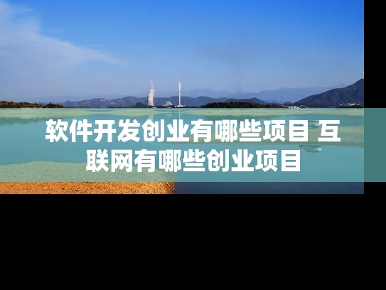 软件开发创业有哪些项目 互联网有哪些创业项目