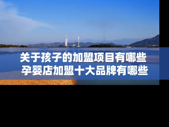 关于孩子的加盟项目有哪些 孕婴店加盟十大品牌有哪些