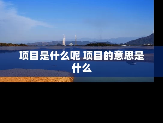 项目是什么呢 项目的意思是什么