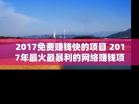 2017免费赚钱快的项目 2017年最火最暴利的网络赚钱项目