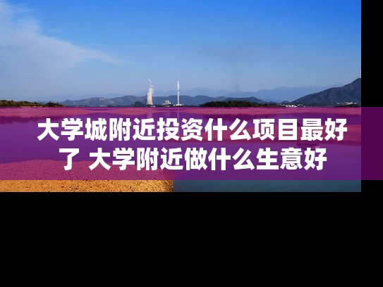 大学城附近投资什么项目最好了 大学附近做什么生意好