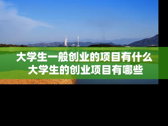 大学生一般创业的项目有什么 大学生的创业项目有哪些