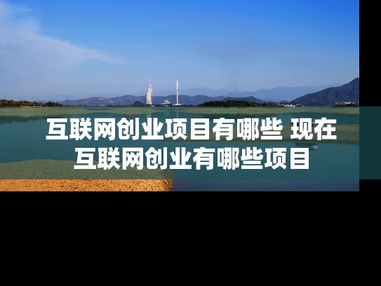 互联网创业项目有哪些 现在互联网创业有哪些项目