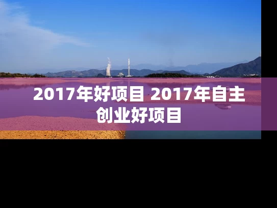 2017年好项目 2017年自主创业好项目