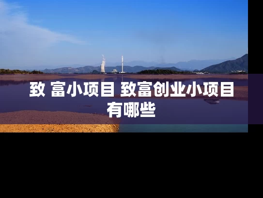 致 富小项目 致富创业小项目有哪些