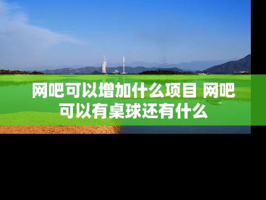 网吧可以增加什么项目 网吧可以有桌球还有什么
