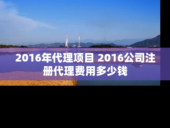 2016年代理项目 2016公司注册代理费用多少钱