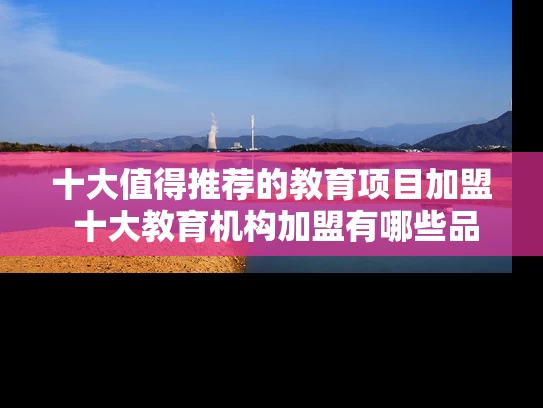 十大值得推荐的教育项目加盟 十大教育机构加盟有哪些品牌