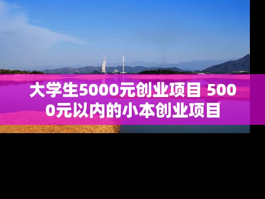 大学生5000元创业项目 5000元以内的小本创业项目