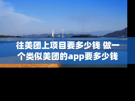 往美团上项目要多少钱 做一个类似美团的app要多少钱