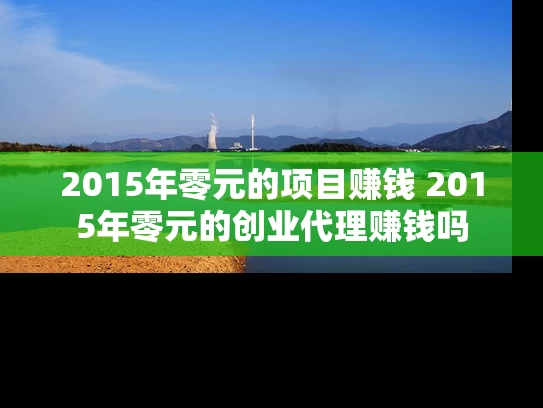 2015年零元的项目赚钱 2015年零元的创业代理赚钱吗