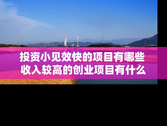 投资小见效快的项目有哪些 收入较高的创业项目有什么