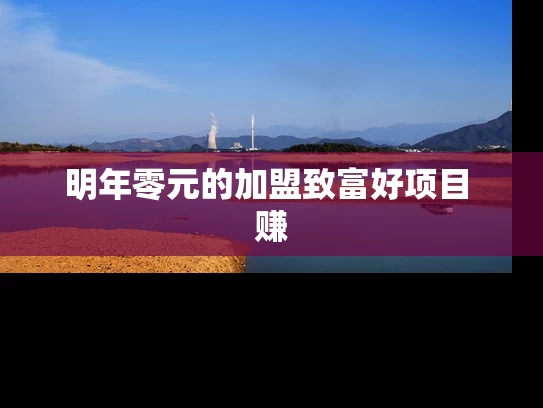 明年零元的加盟致富好项目 赚