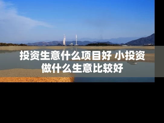 投资生意什么项目好 小投资做什么生意比较好