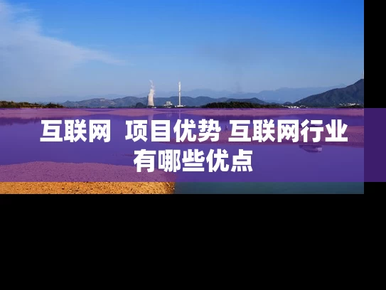 互联网  项目优势 互联网行业有哪些优点