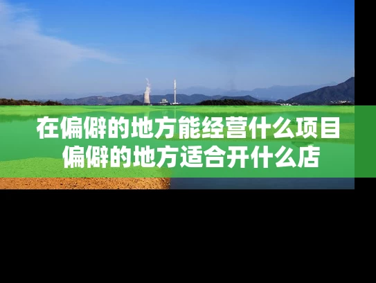 在偏僻的地方能经营什么项目 偏僻的地方适合开什么店