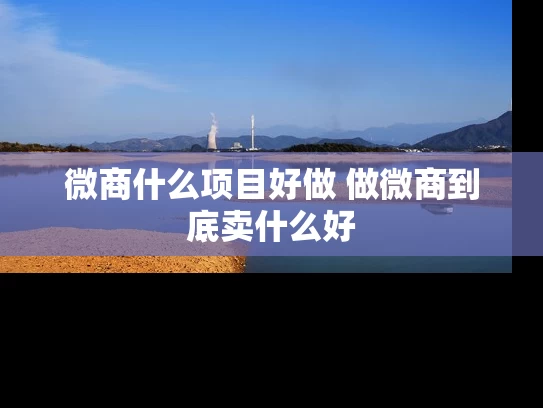 微商什么项目好做 做微商到底卖什么好