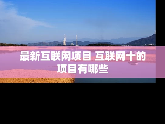 最新互联网项目 互联网十的项目有哪些