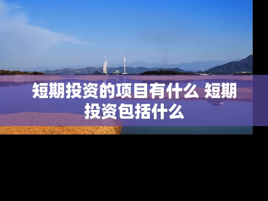 短期投资的项目有什么 短期投资包括什么