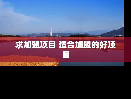 求加盟项目 适合加盟的好项目