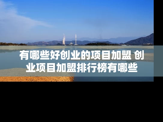 有哪些好创业的项目加盟 创业项目加盟排行榜有哪些