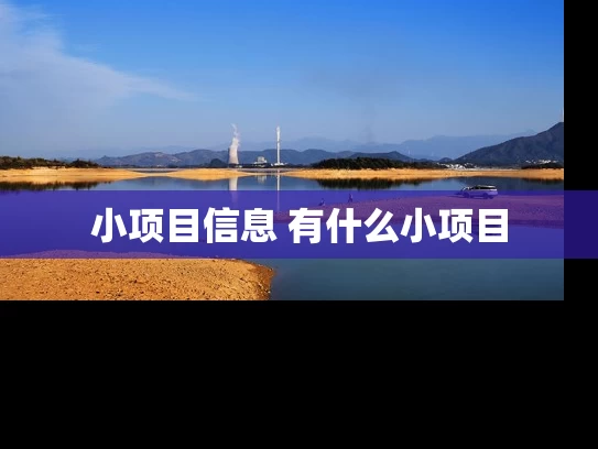 小项目信息 有什么小项目