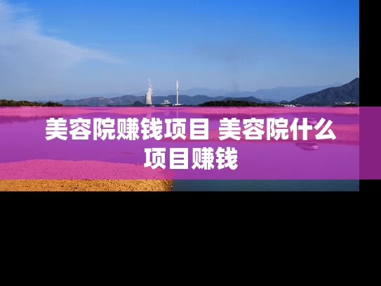 美容院赚钱项目 美容院什么项目赚钱