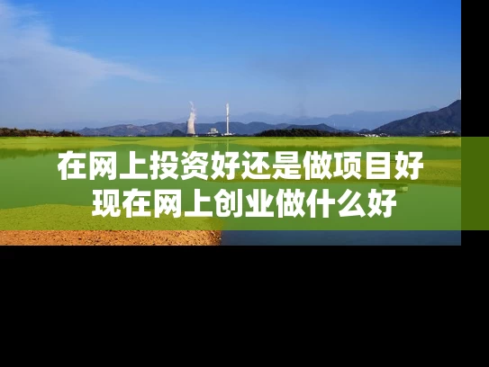 在网上投资好还是做项目好 现在网上创业做什么好