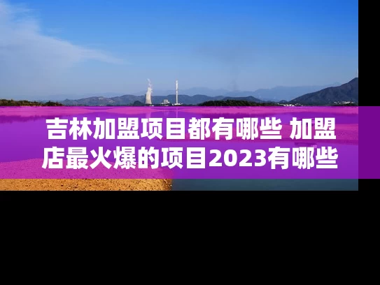 吉林加盟项目都有哪些 加盟店最火爆的项目2023有哪些