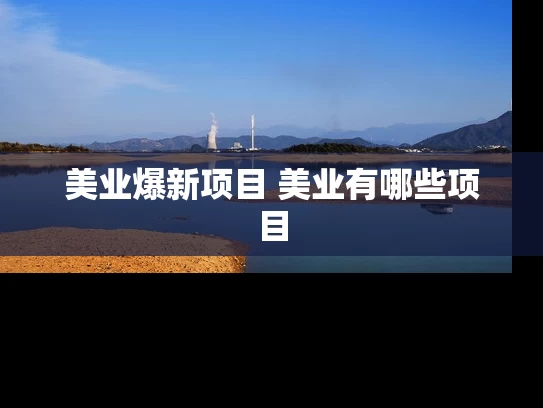 美业爆新项目 美业有哪些项目