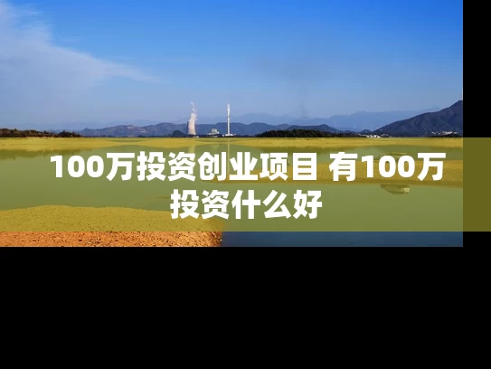 100万投资创业项目 有100万投资什么好