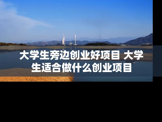 大学生旁边创业好项目 大学生适合做什么创业项目