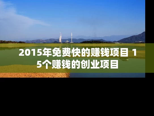 2015年免费快的赚钱项目 15个赚钱的创业项目