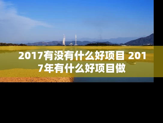 2017有没有什么好项目 2017年有什么好项目做
