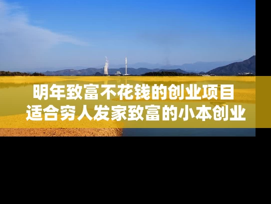 明年致富不花钱的创业项目 适合穷人发家致富的小本创业项目