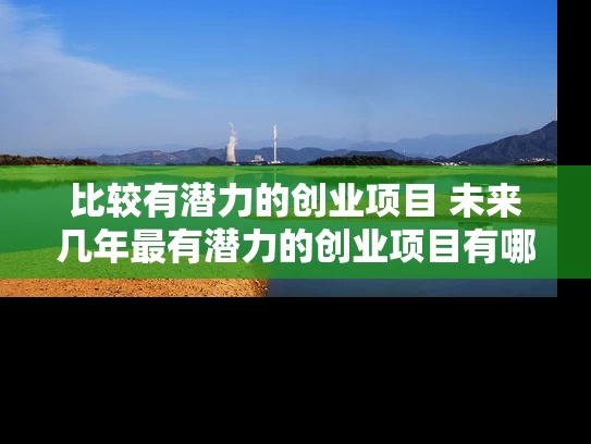 比较有潜力的创业项目 未来几年最有潜力的创业项目有哪些