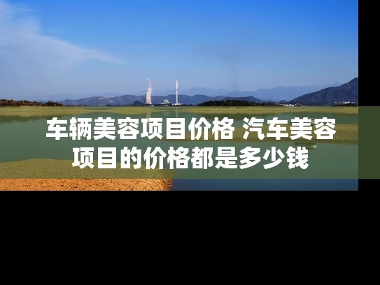 车辆美容项目价格 汽车美容项目的价格都是多少钱