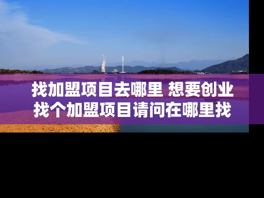 找加盟项目去哪里 想要创业找个加盟项目请问在哪里找