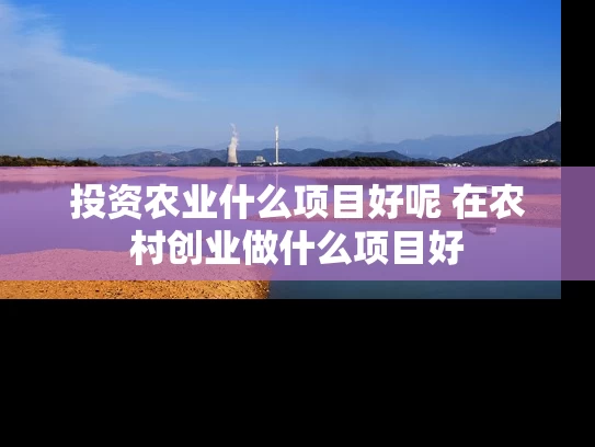 投资农业什么项目好呢 在农村创业做什么项目好