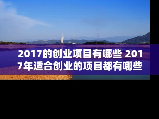 2017的创业项目有哪些 2017年适合创业的项目都有哪些