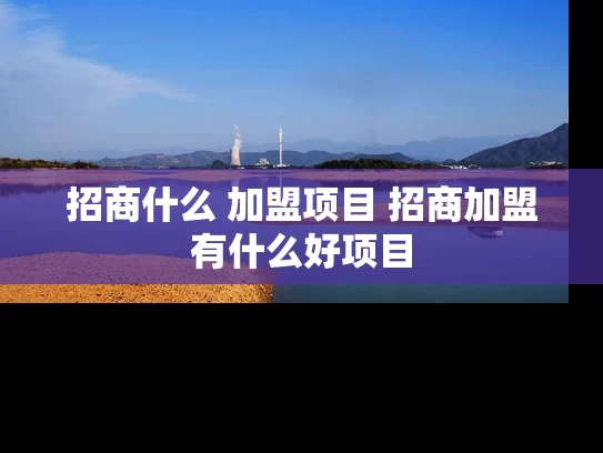 招商什么 加盟项目 招商加盟有什么好项目