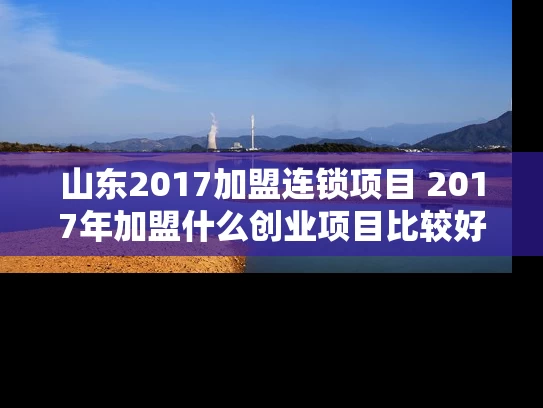 山东2017加盟连锁项目 2017年加盟什么创业项目比较好