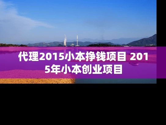 代理2015小本挣钱项目 2015年小本创业项目