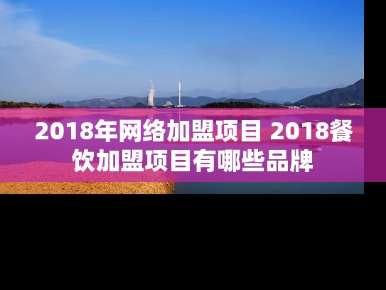 2018年网络加盟项目 2018餐饮加盟项目有哪些品牌