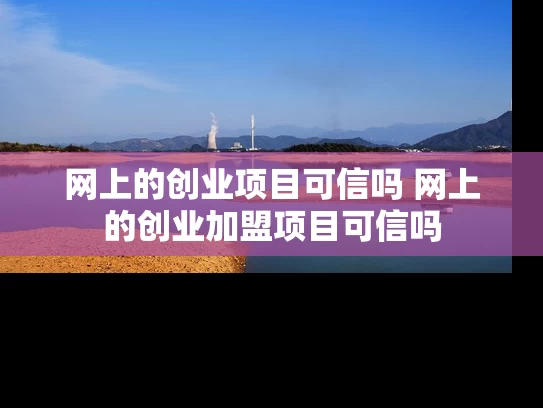 网上的创业项目可信吗 网上的创业加盟项目可信吗