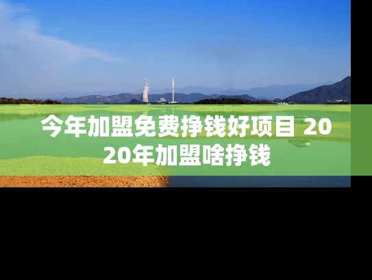 今年加盟免费挣钱好项目 2020年加盟啥挣钱