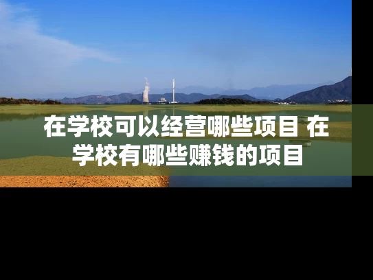 在学校可以经营哪些项目 在学校有哪些赚钱的项目